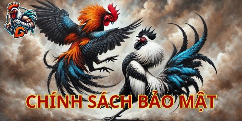 Chính sách bảo mật