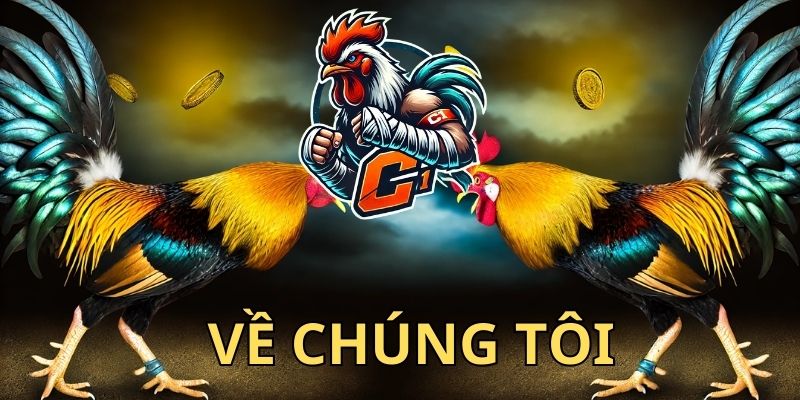 về chúng tôi - Trang web Trực tiếp đá gà C1